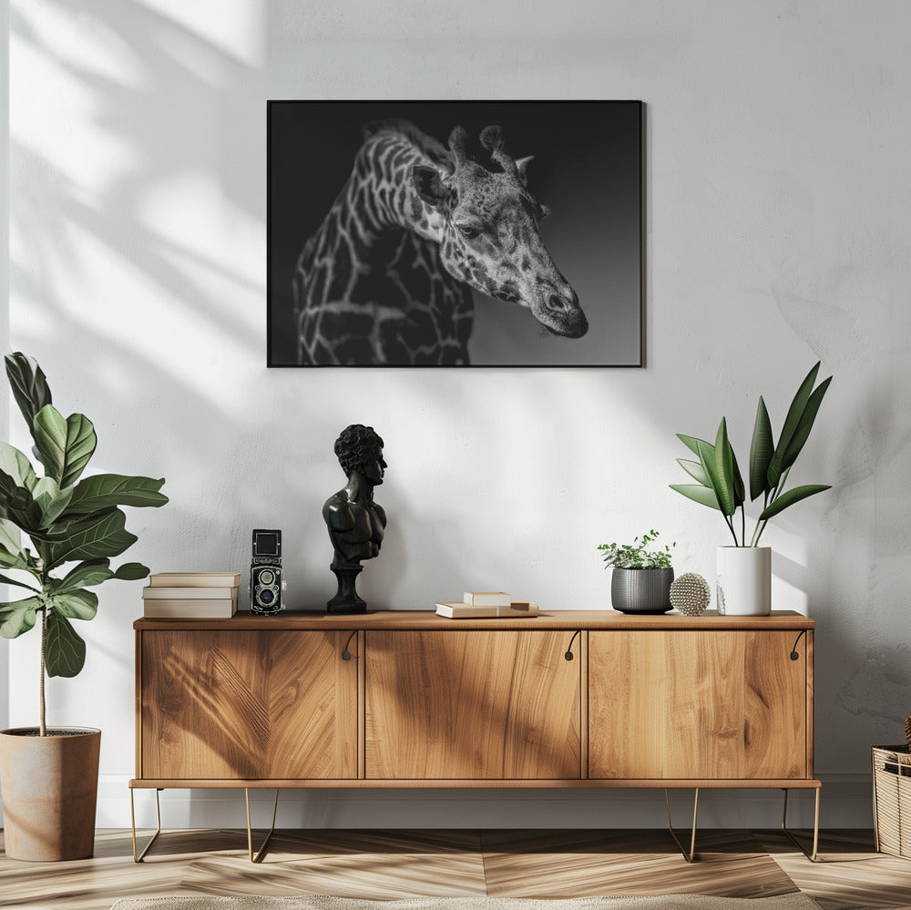 Giraffe | Poster
