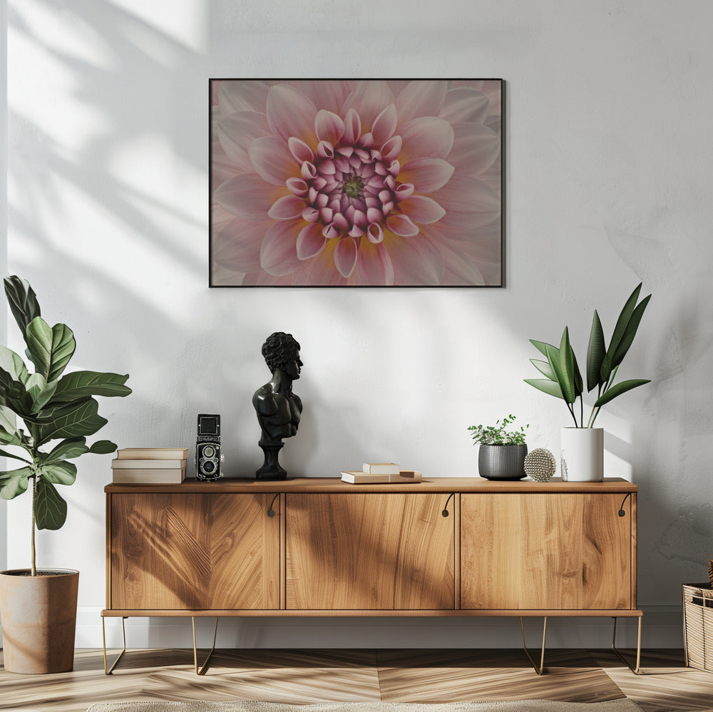 Blush | Poster