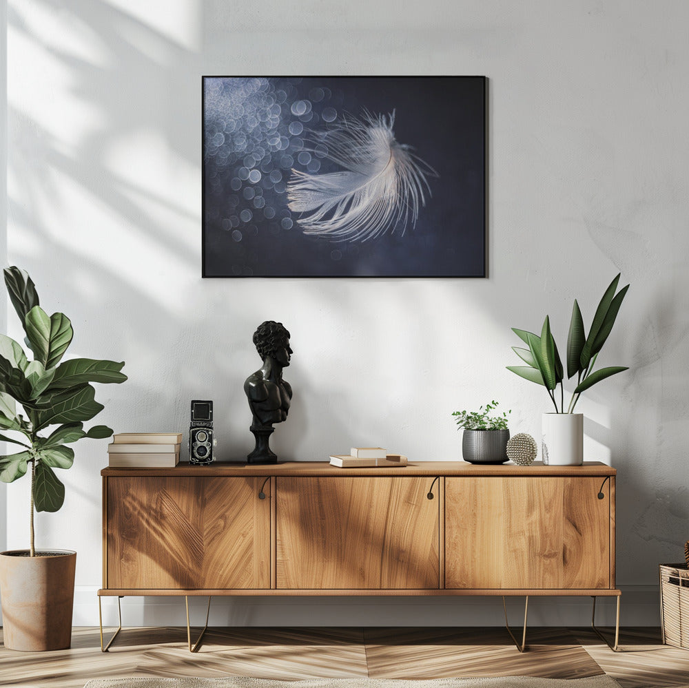 Placidity | Poster