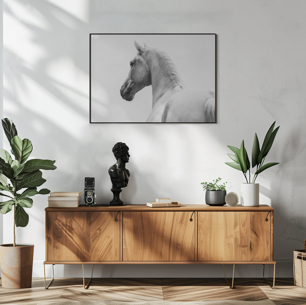 a short story about a shorn horse | Poster