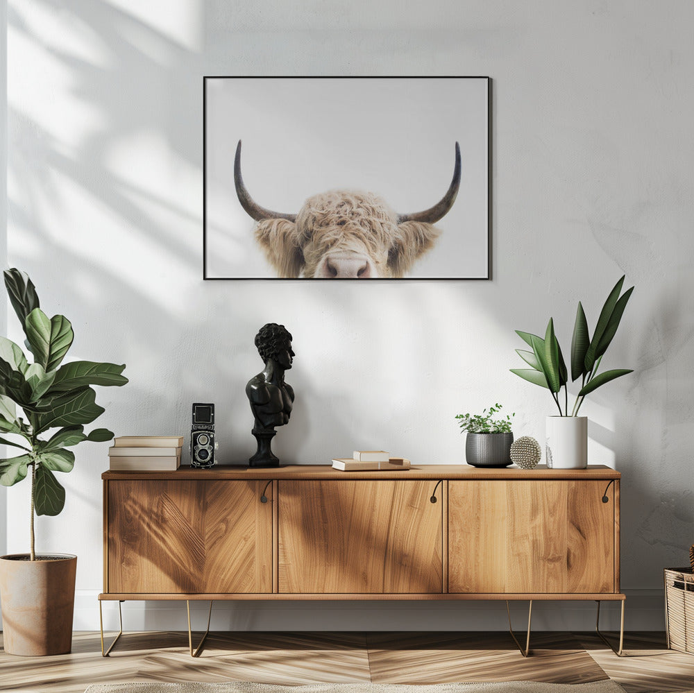 Peeking Cow | Poster