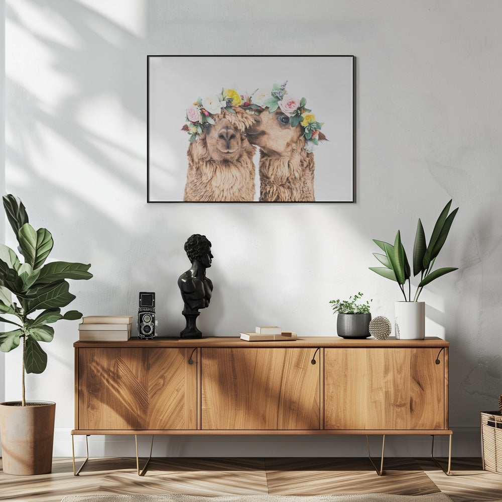 Boho Alpacas | Poster