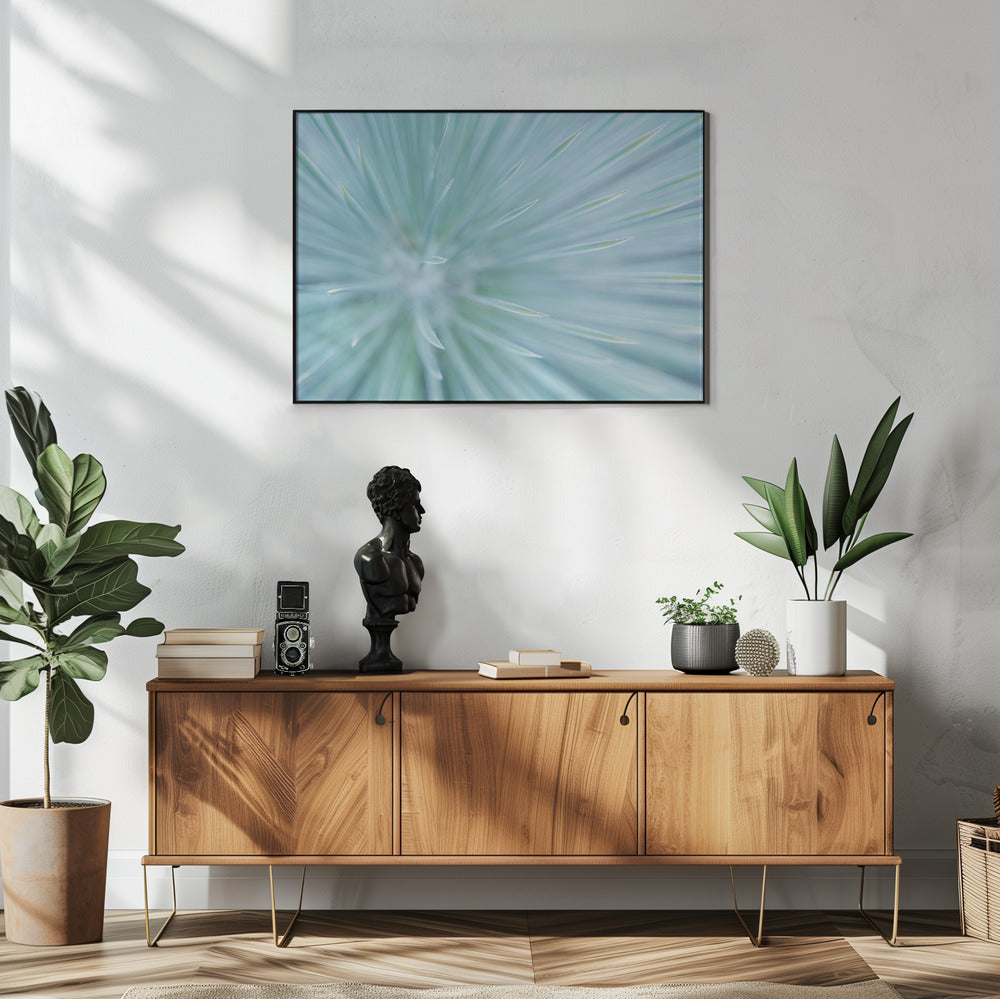 Soft Spikes | Poster