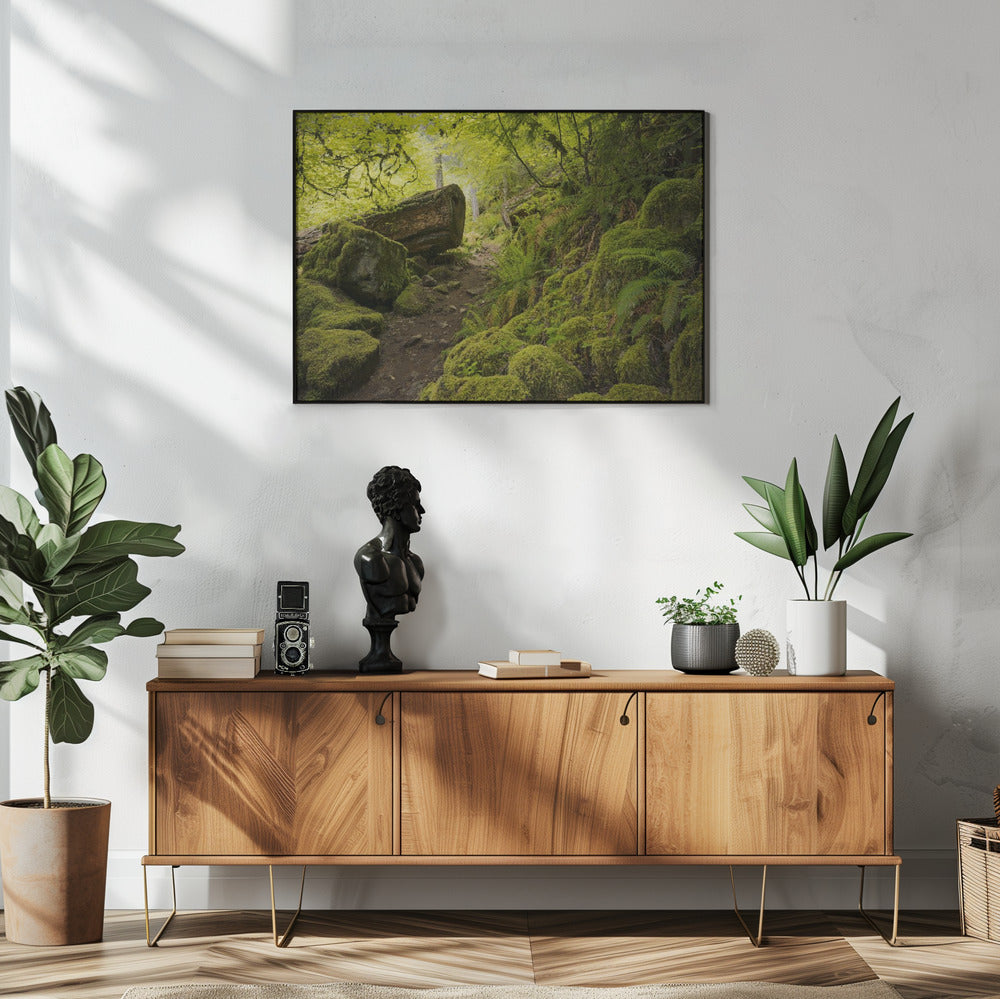 Mossy Path | Poster