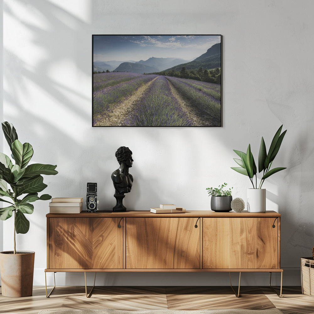 Lavender Hills | Poster