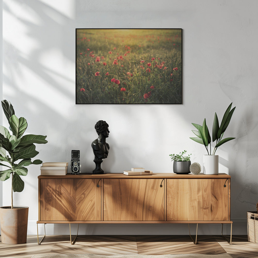 Poppy World III | Poster