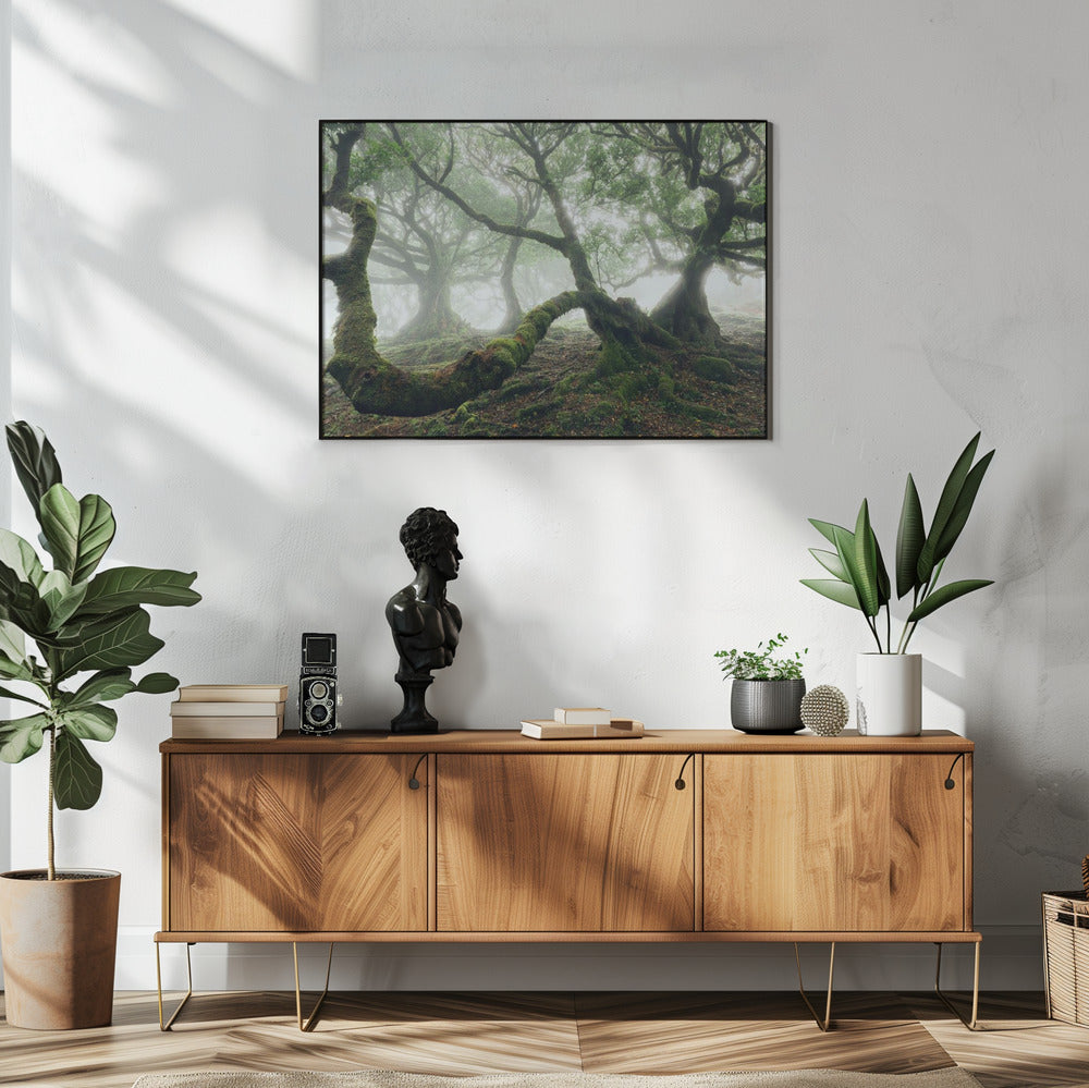 Mystic Laurel Forest | Poster