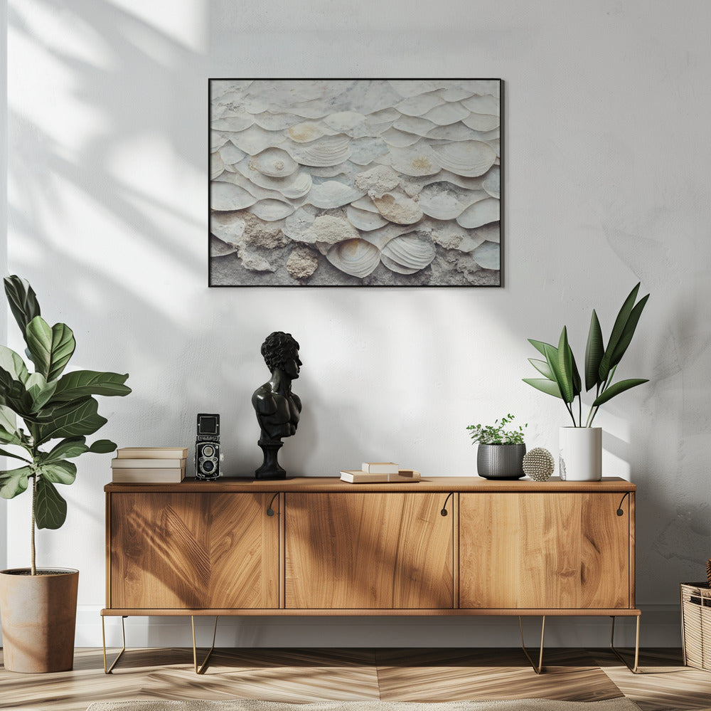 Shell Harmony Wall | Poster