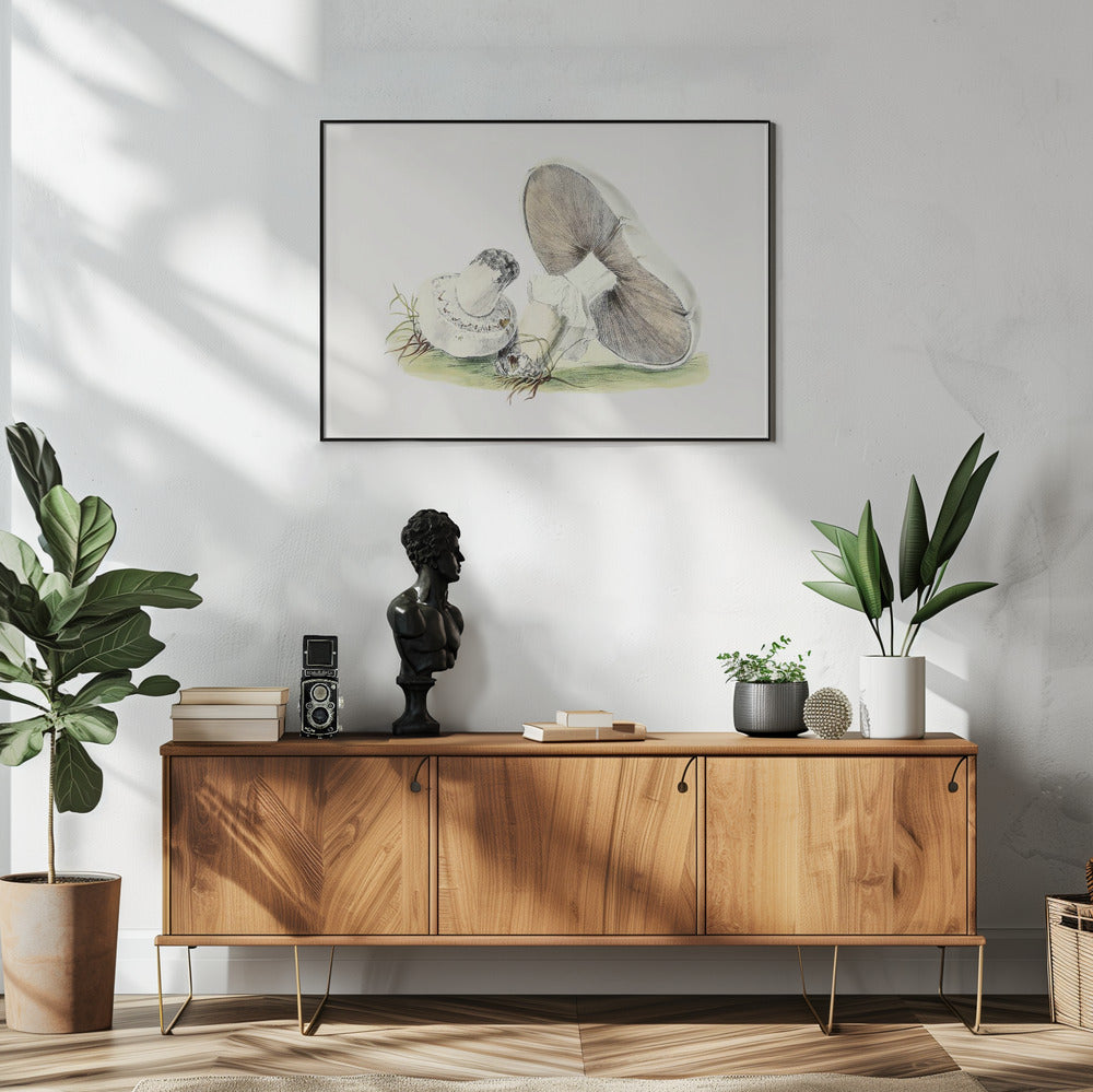 Hand Drawn Horse Mushroom | Poster