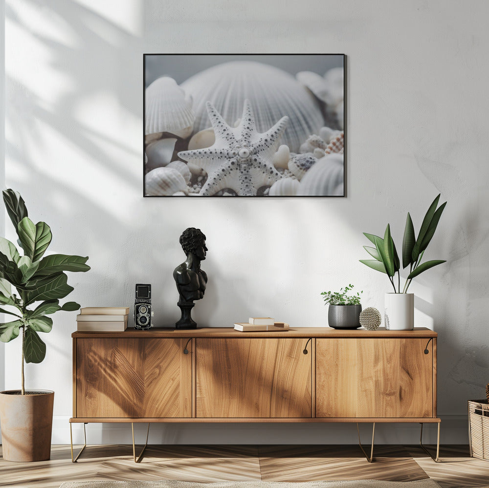 Seashell Symphony | Poster