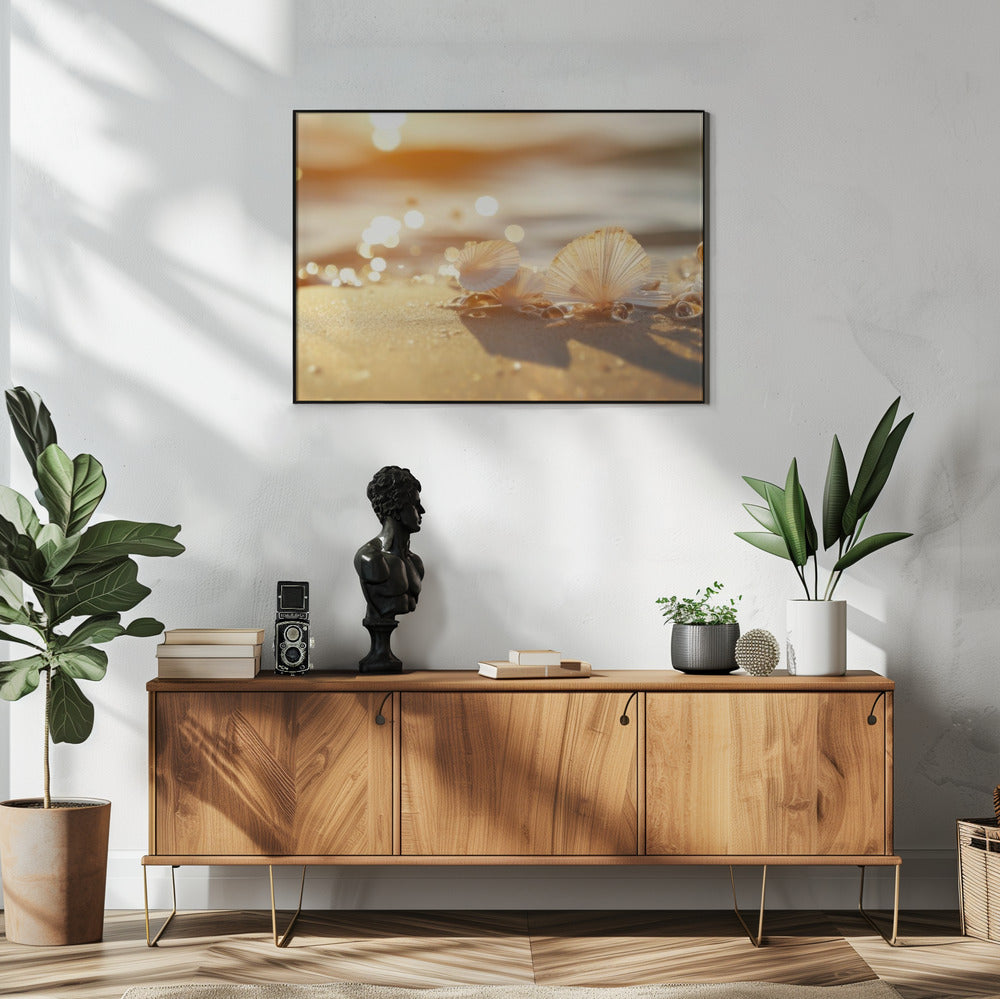 Sunlit Seashells | Poster
