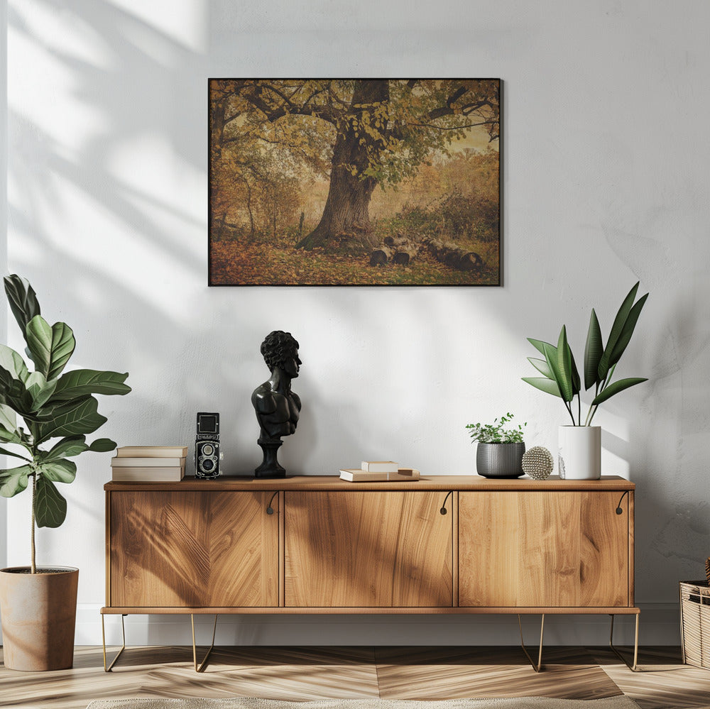 Old tree | Poster