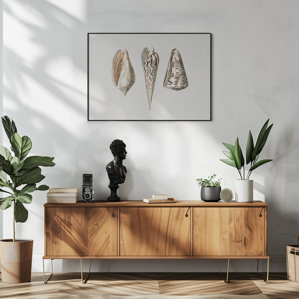 Three Mollusks Crop | Poster