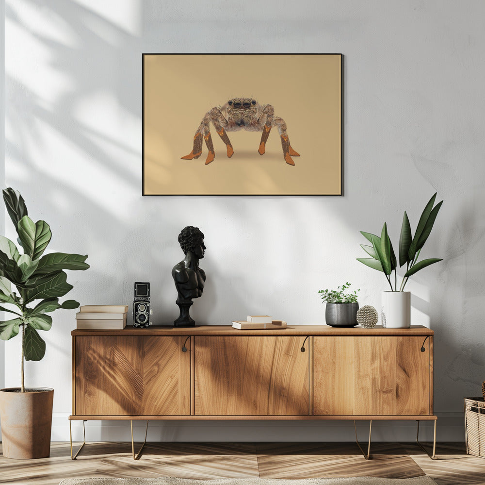 Lydia the Leggiest Cowgirl Spider | Poster