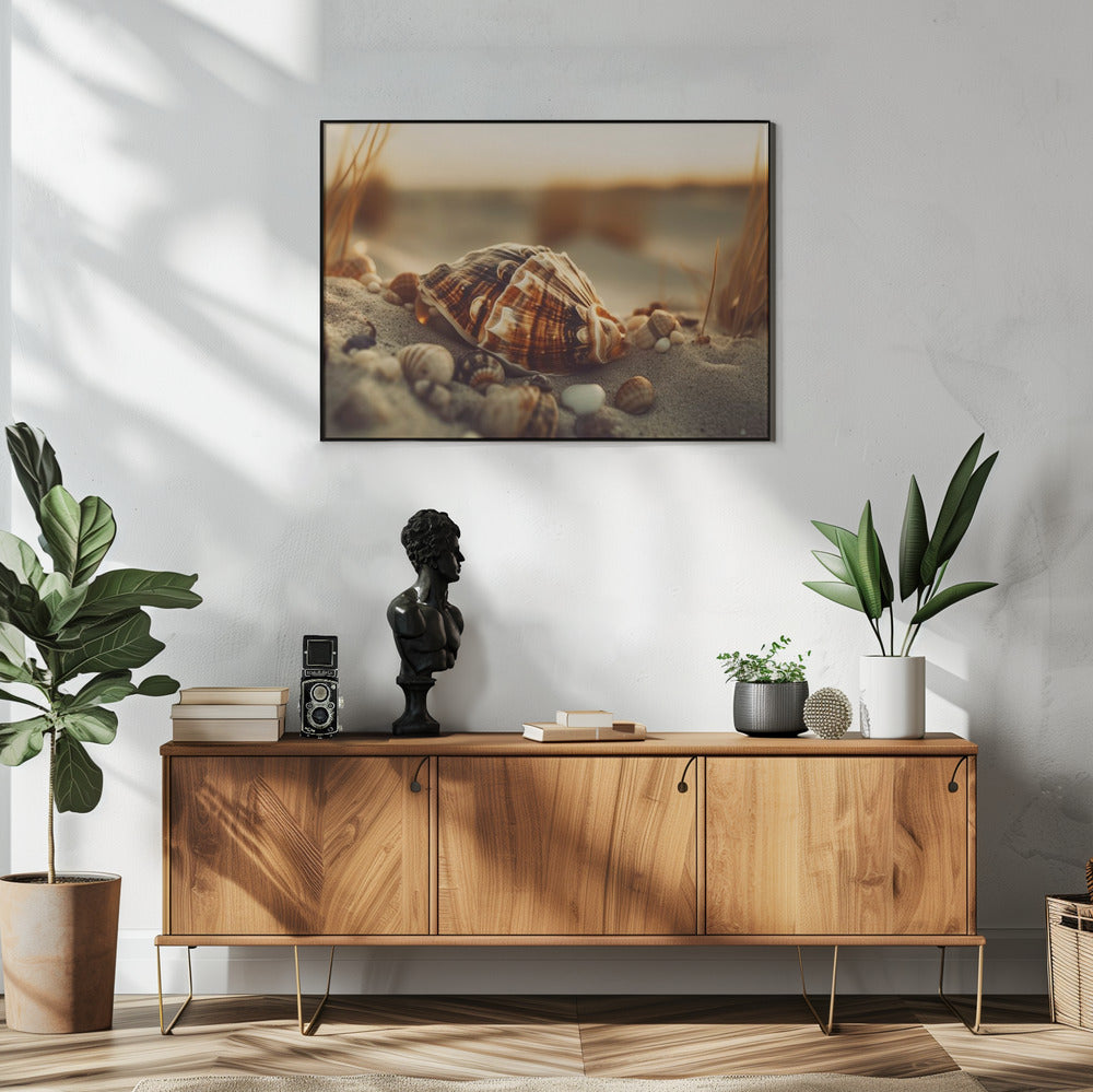 Shells at Sunset | Poster