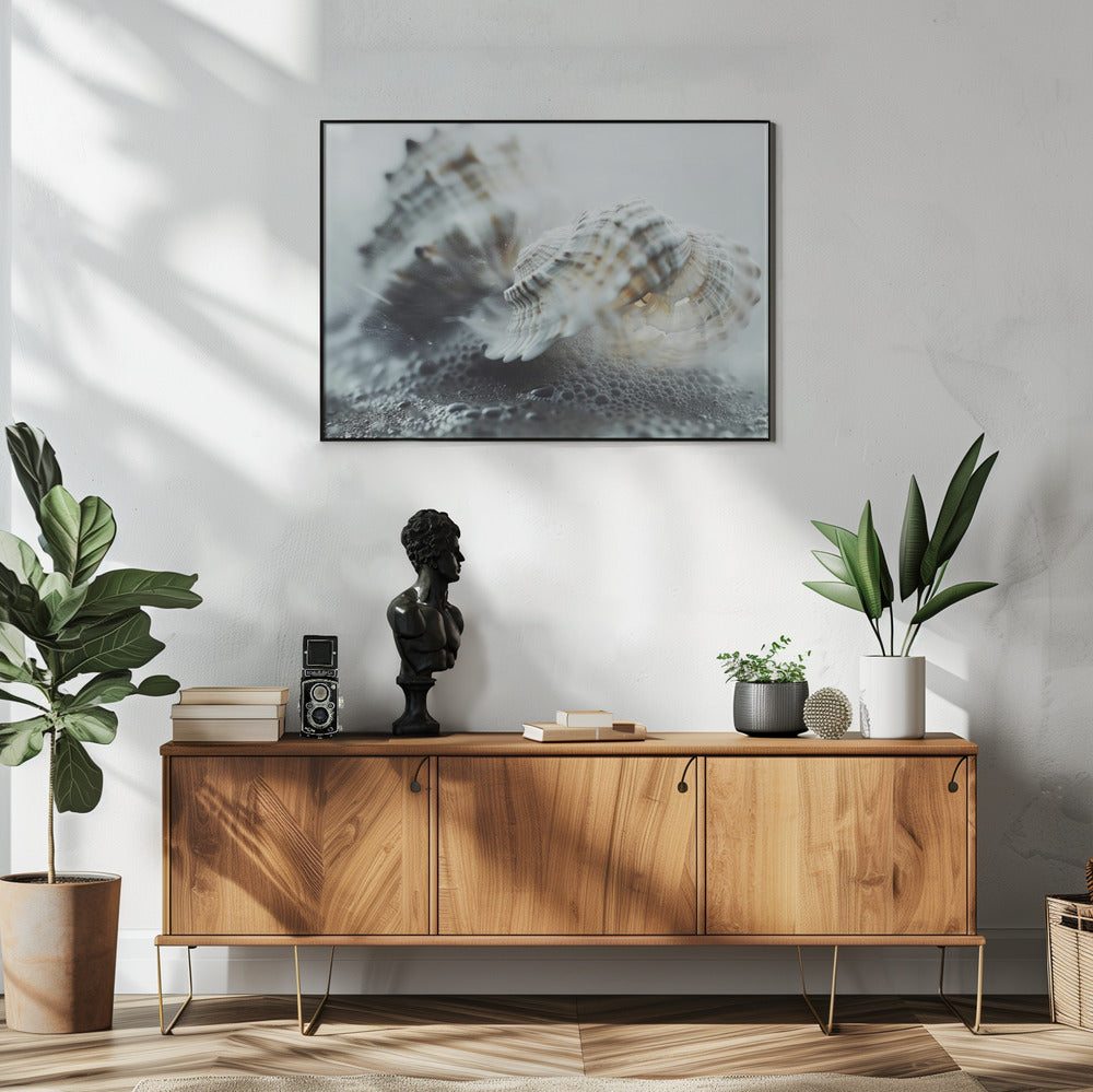Seashell Serenity | Poster