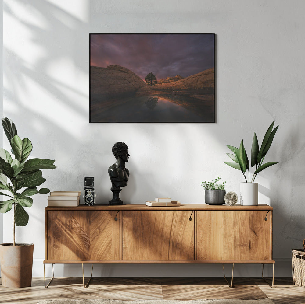 Morning Light | Poster