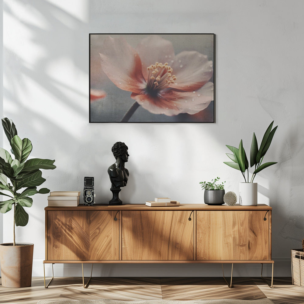Petals of Serenity | Poster