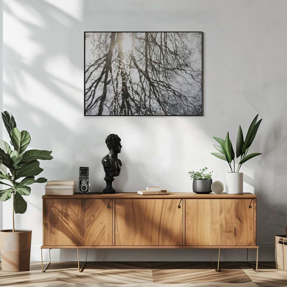 Winter Reflections 3 | Poster