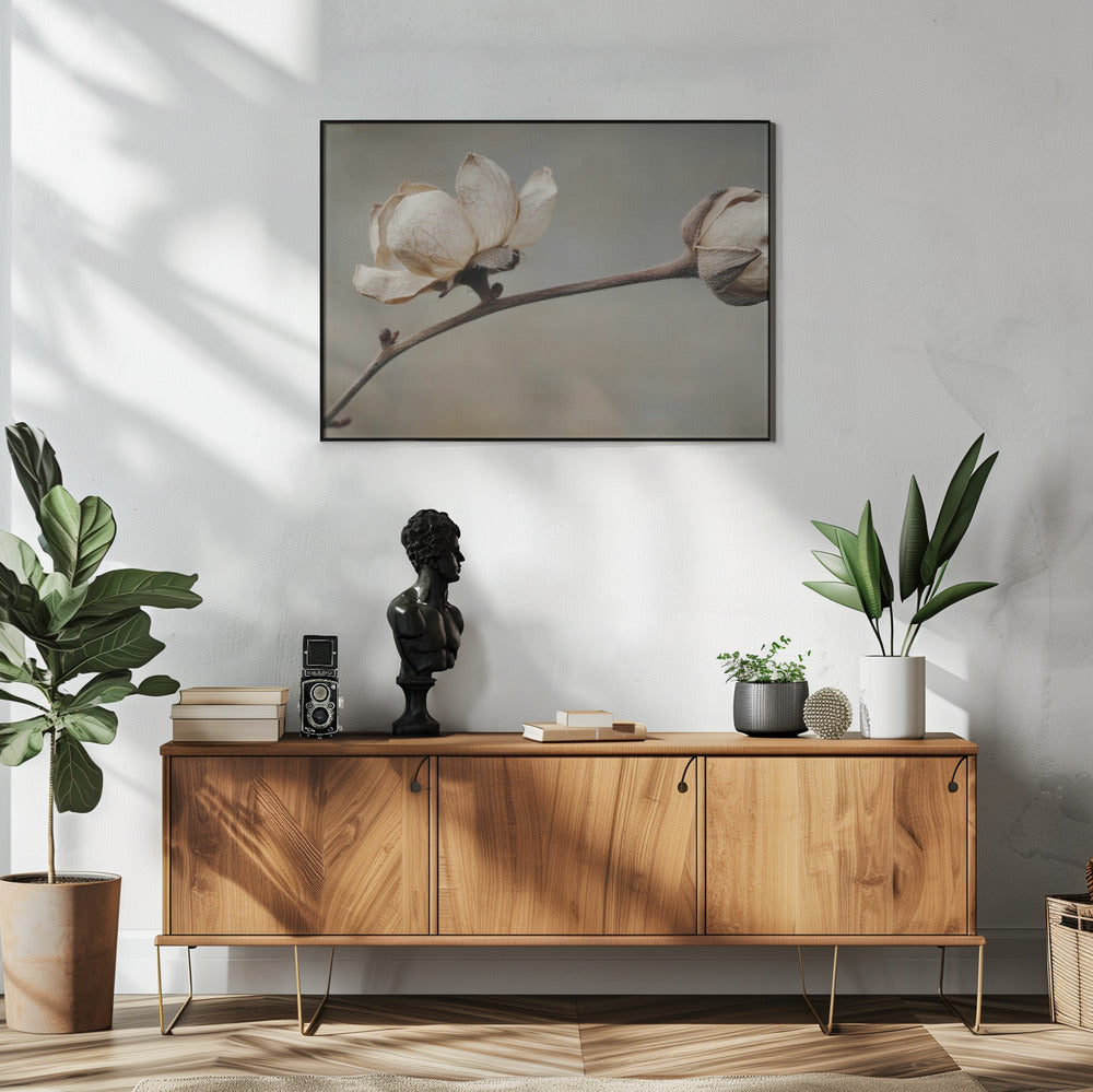 Delicate Petals | Poster