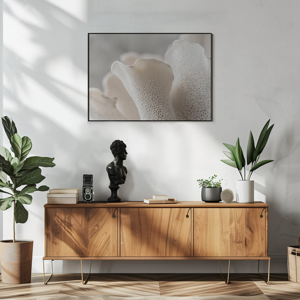 Porcelain Petals | Poster
