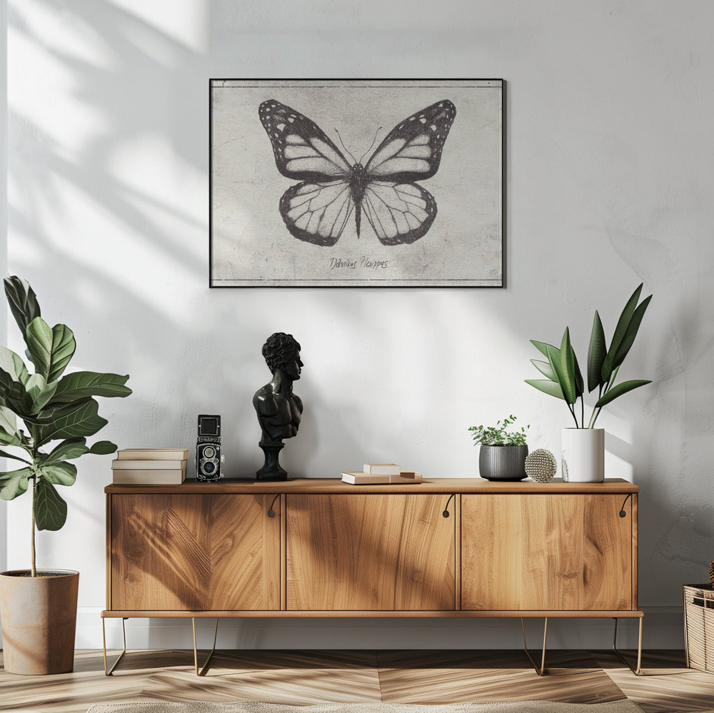 Sketch Of A Monarch Butterfly | Poster