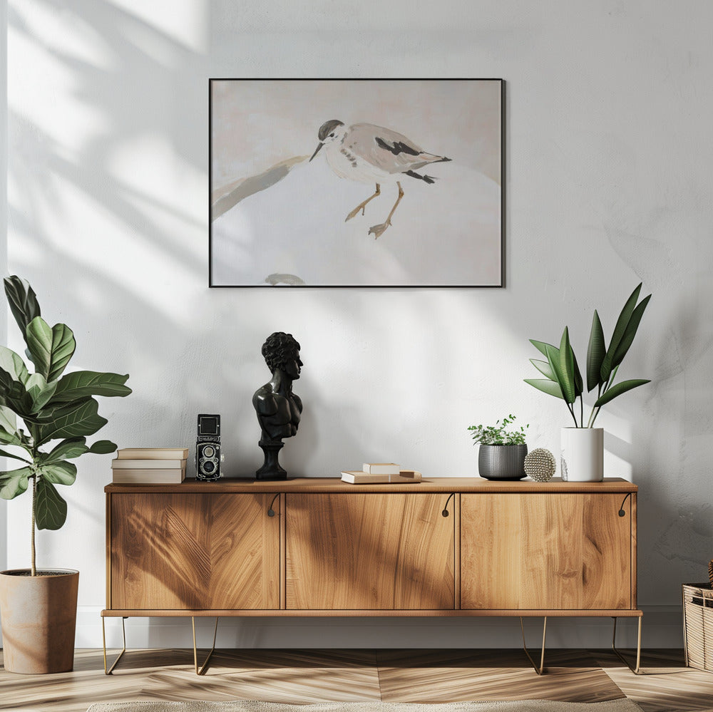 Cute Shorebird | Poster