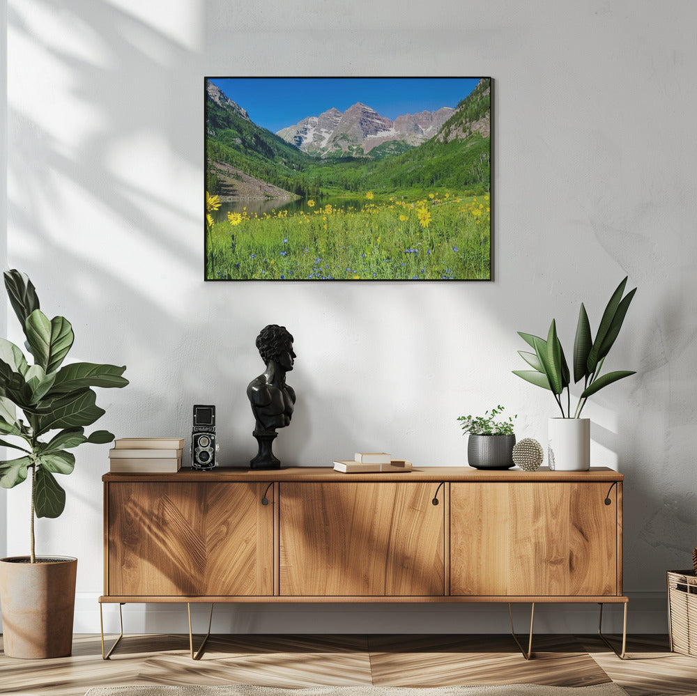 Maroon Bells Wildflowers | Poster