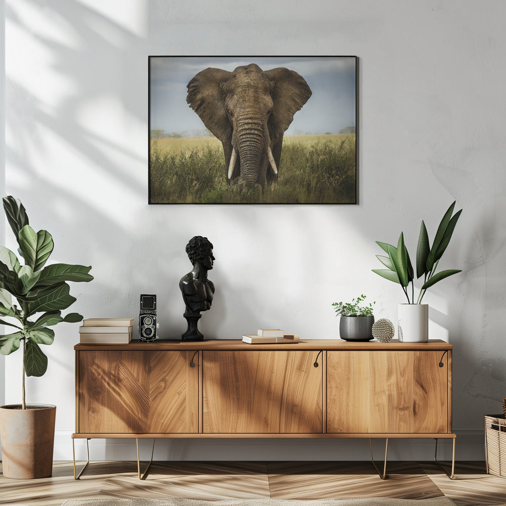 Encounters in Serengeti | Poster