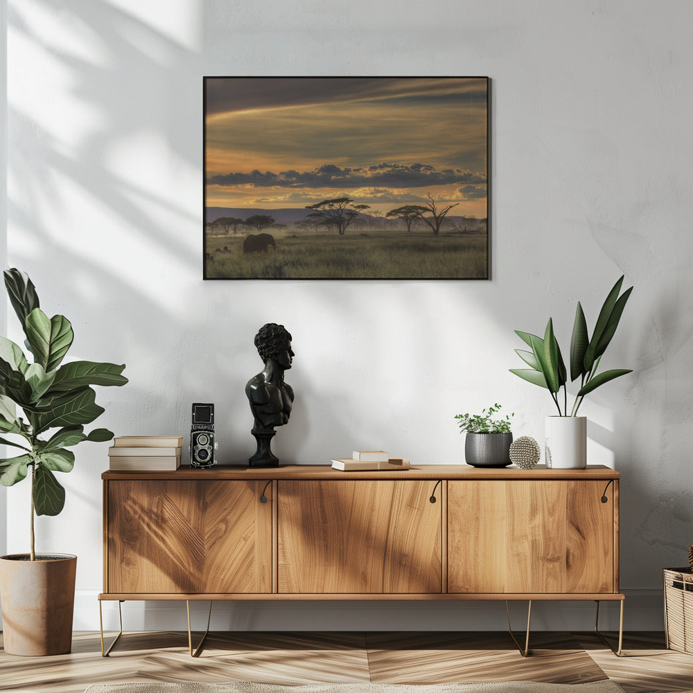 Africa | Poster