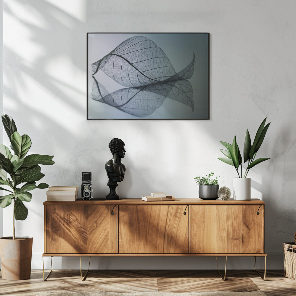 Curvaceousness | Poster