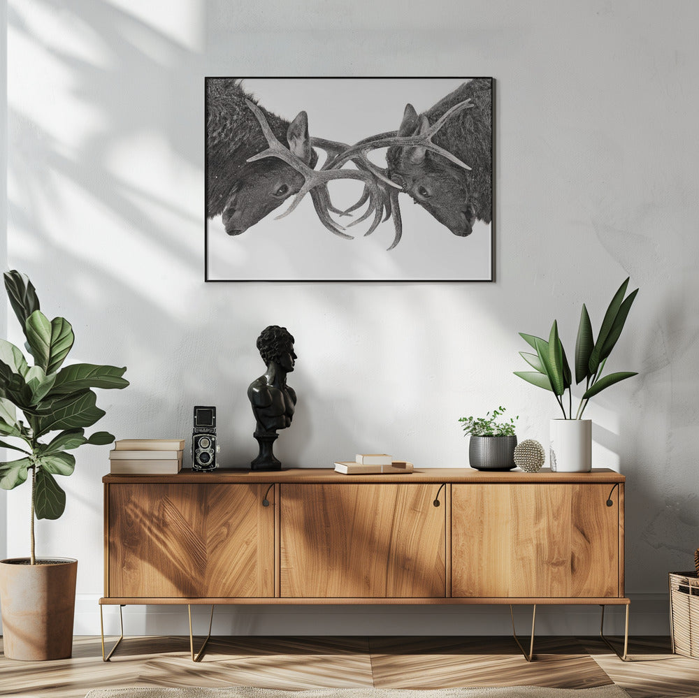 Eye to Eye - Elk fight | Poster
