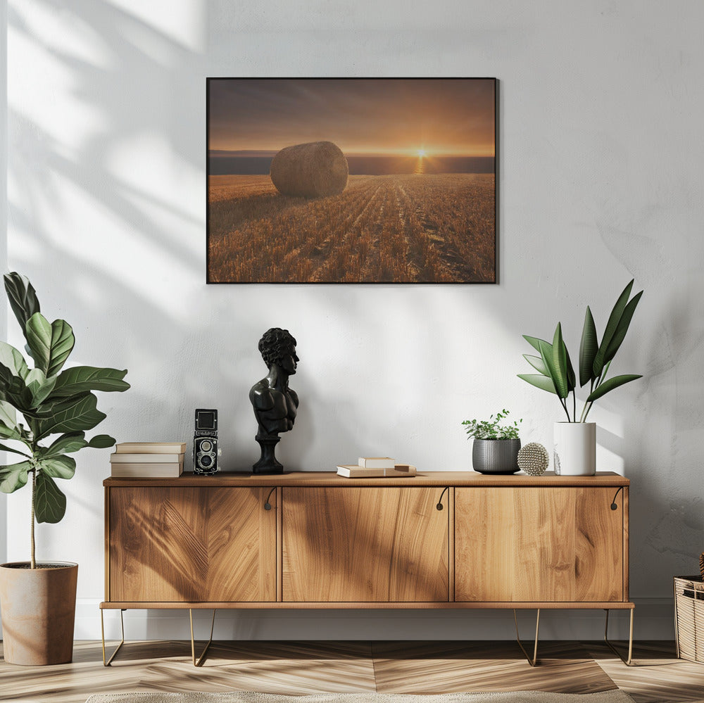 Gold Harvest | Poster