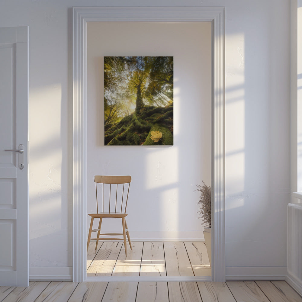 The goodbye of a leaf | Canvas