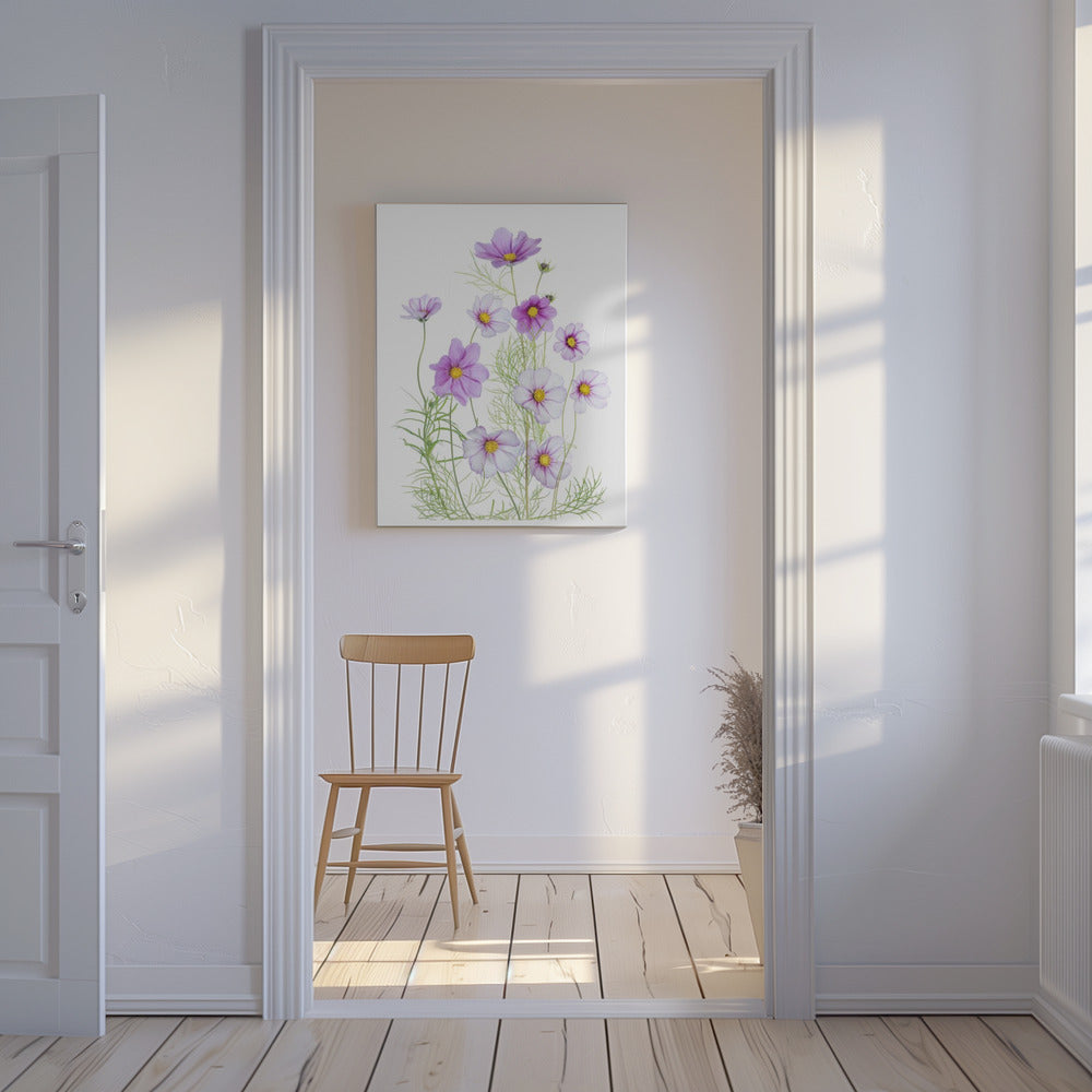 Cosmos Comfort | Canvas