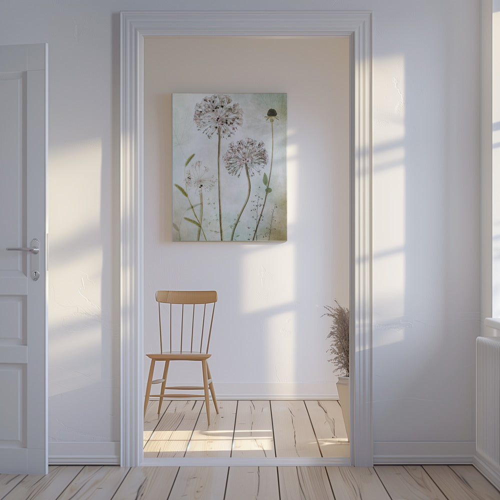 Allium | Canvas