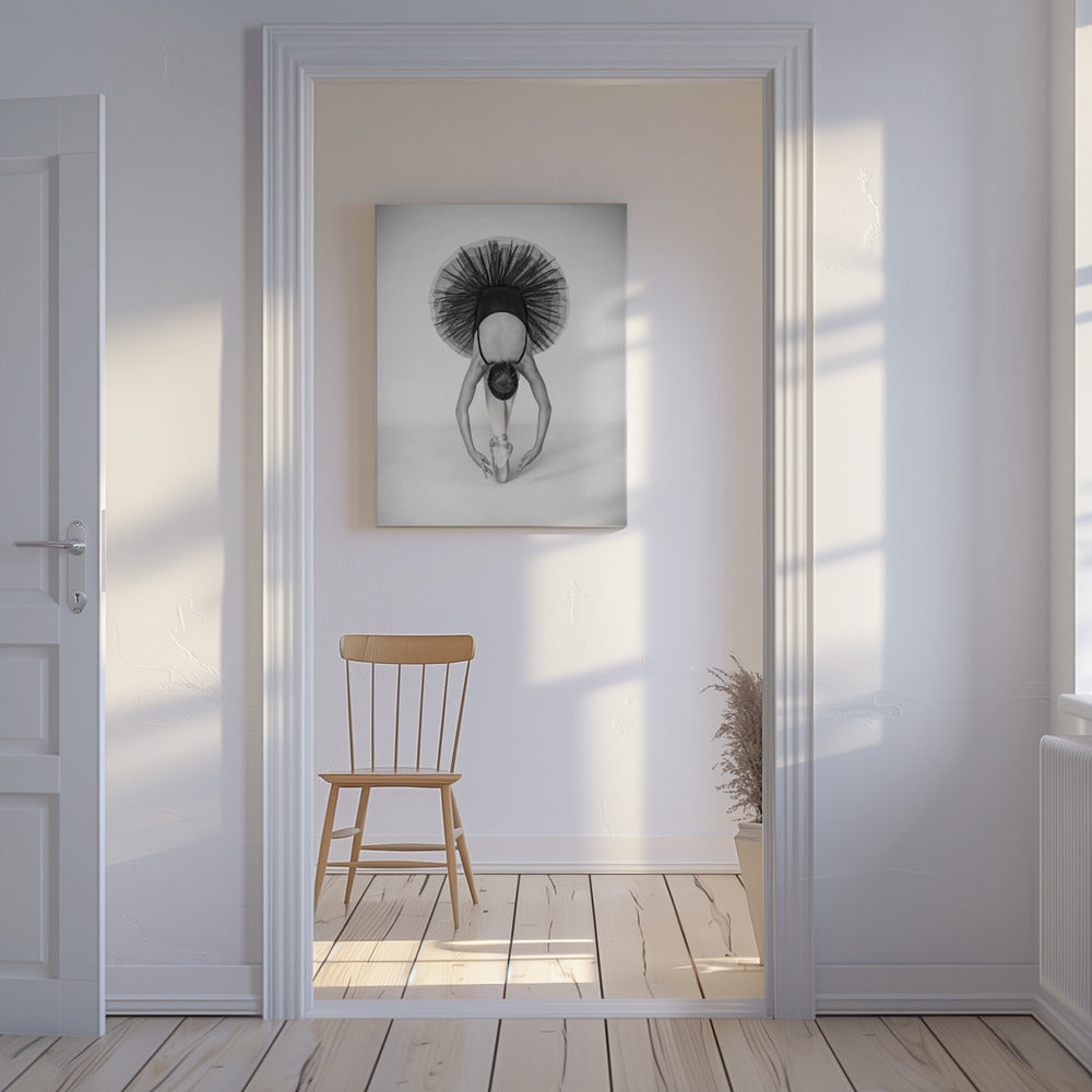 Ballet Technique | Canvas