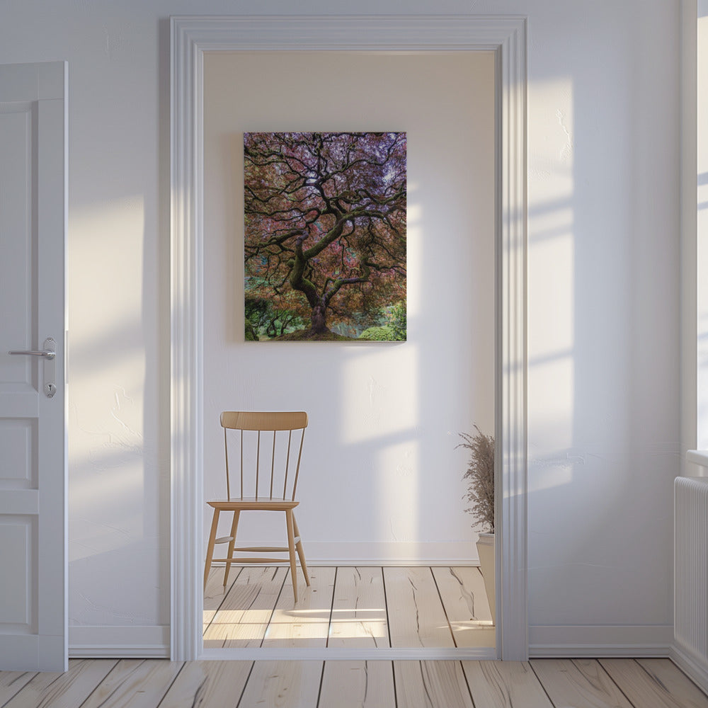Japanese Maple Tree | Canvas