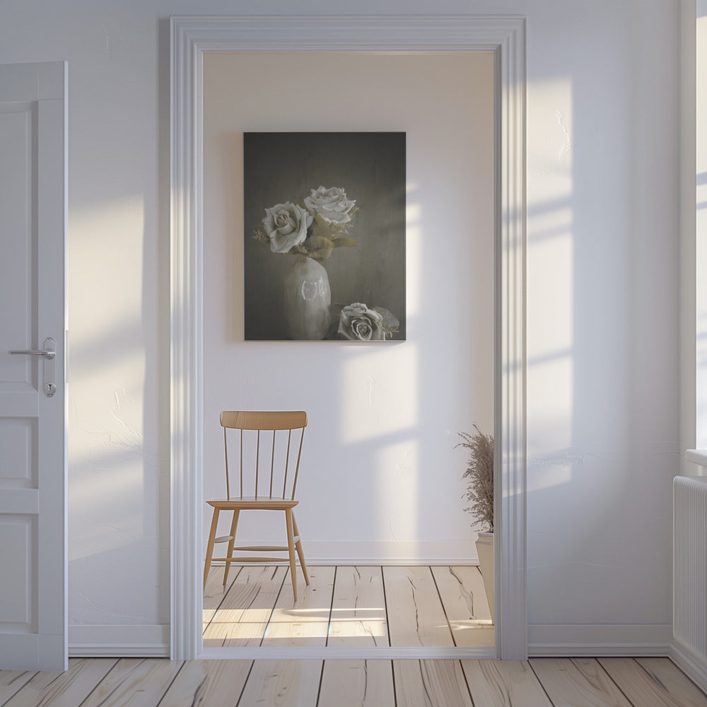 Softened | Canvas