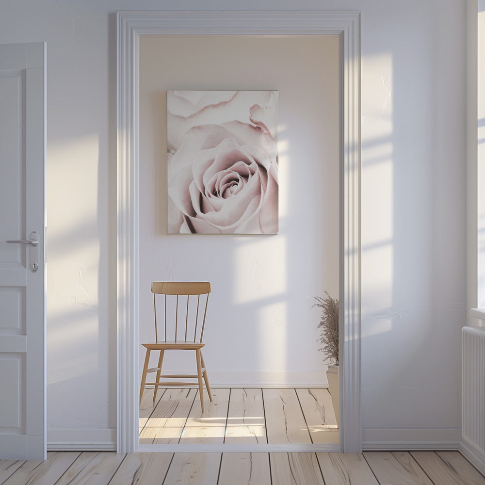 Pink Rose No 05 | Canvas