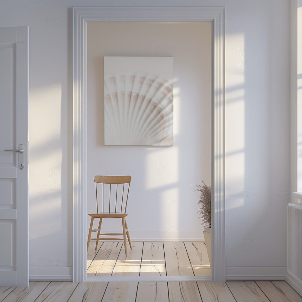 Shell | Canvas
