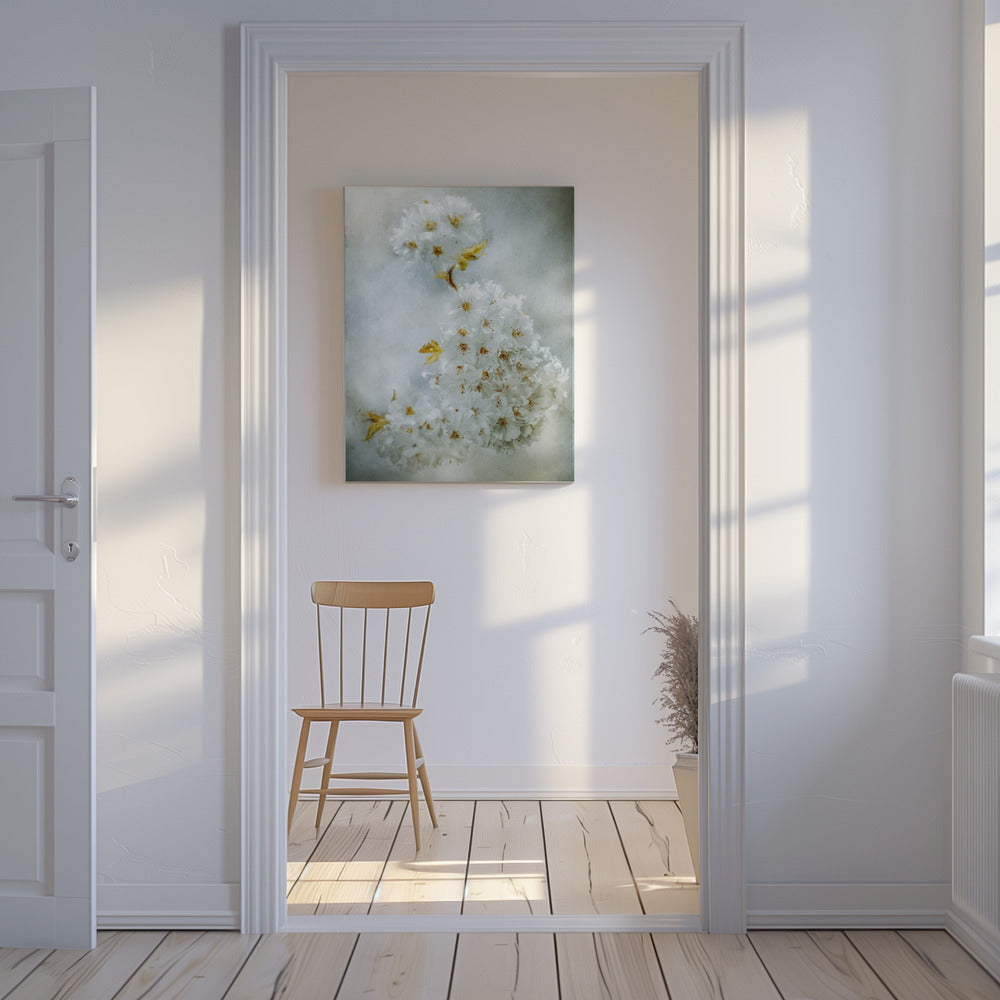 Cherry blossoms | Canvas