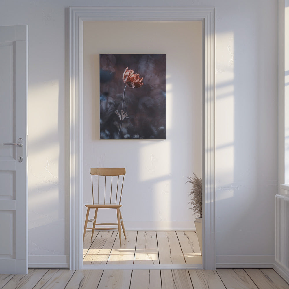 Elegance | Canvas
