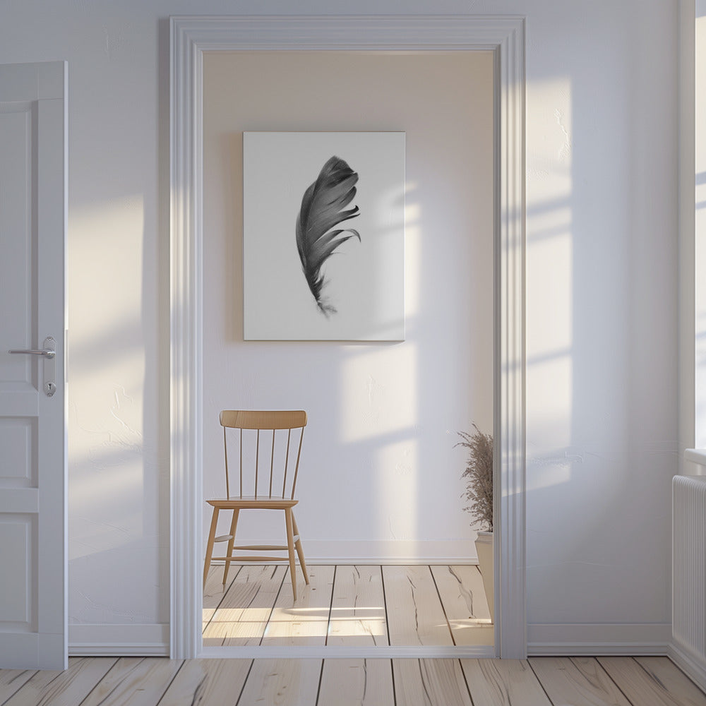 Feather | Canvas