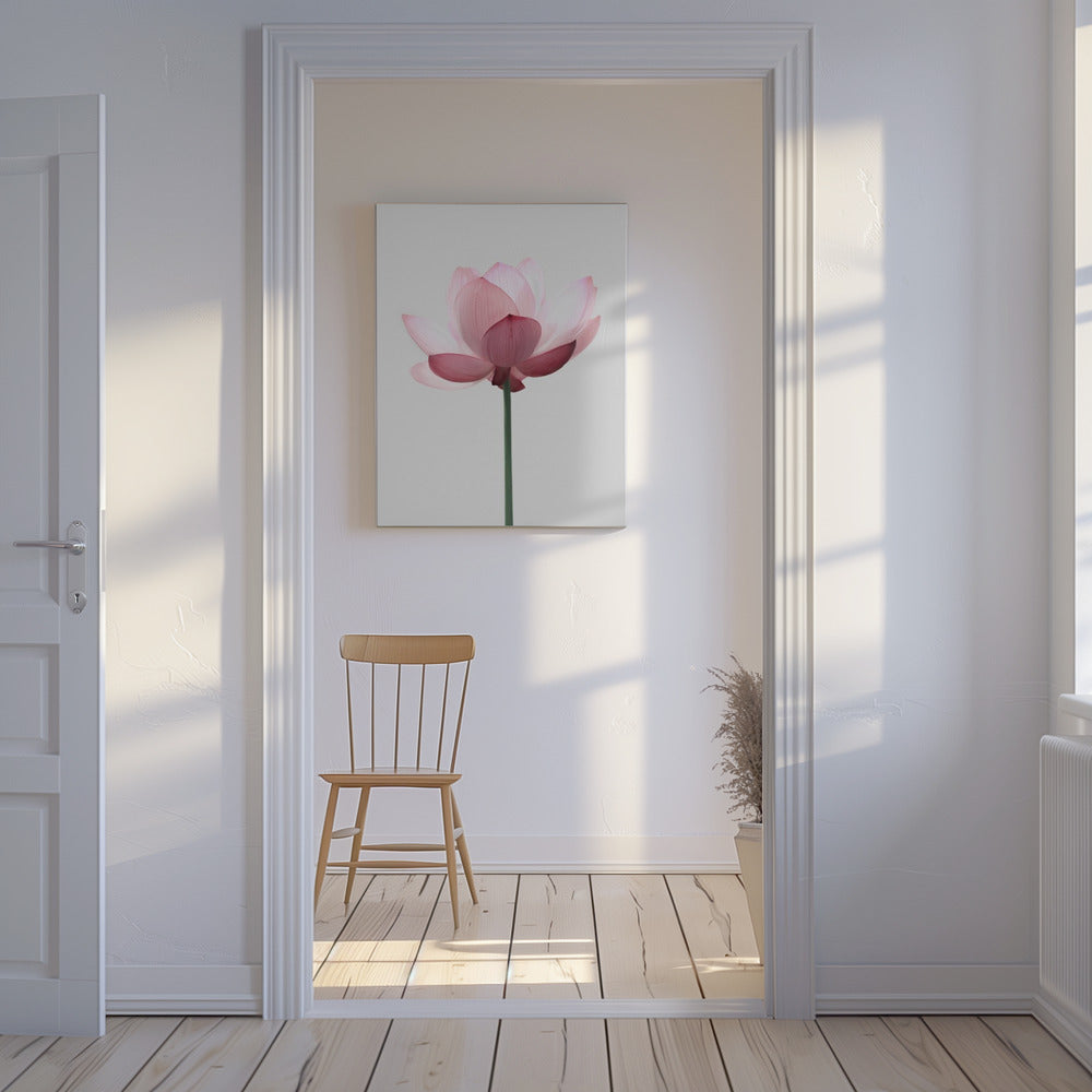 Lotus Flower | Canvas