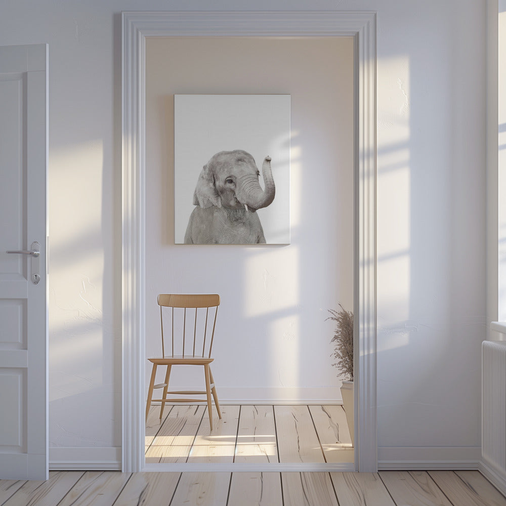 Baby Elephant | Canvas