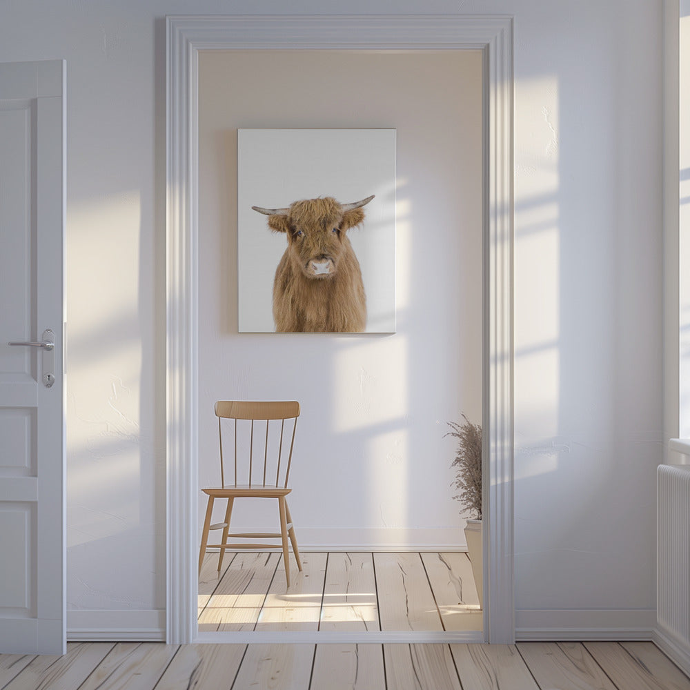 Baby Cow | Canvas