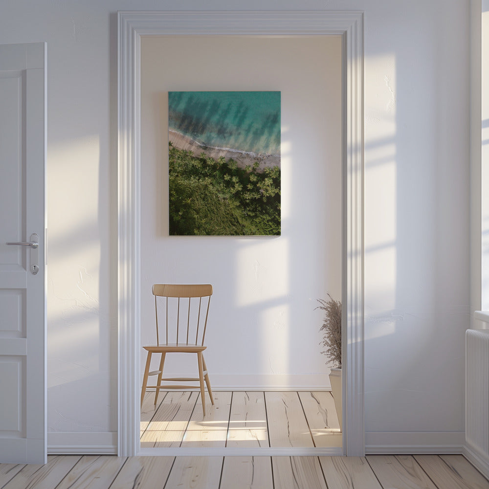 Palm Beach from Above | Canvas