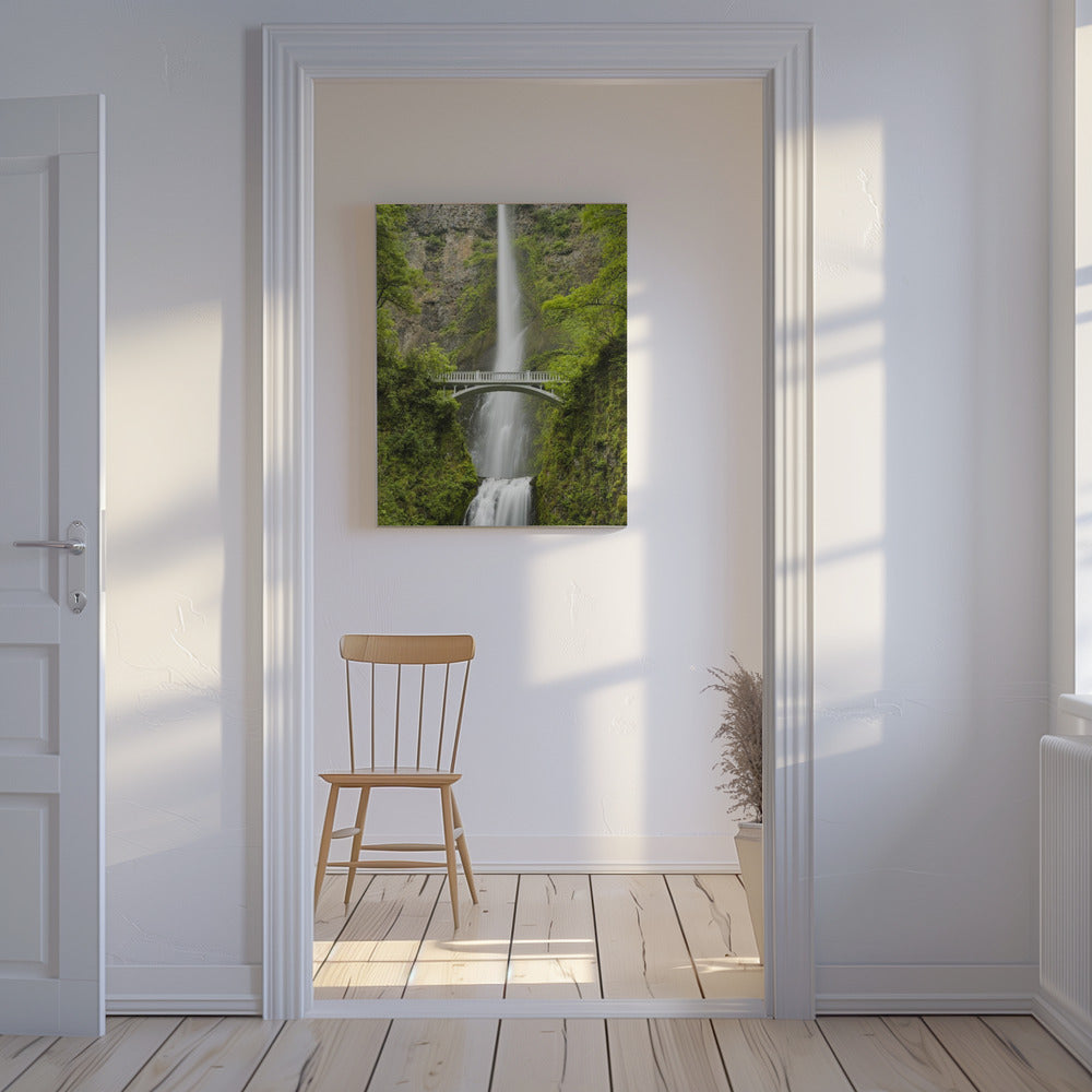 Soft Tail | Canvas