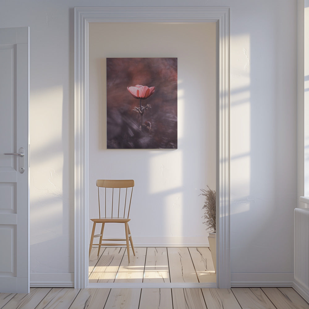 Ardente | Canvas